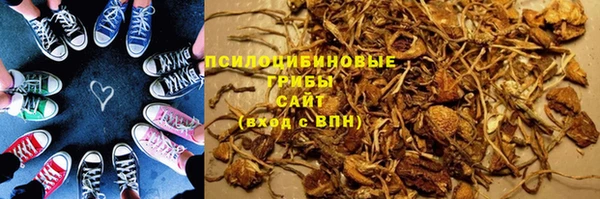 молекула духа Балахна