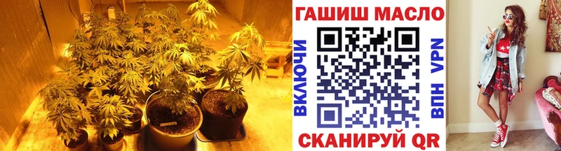 ТГК гашишное масло  цены   KRAKEN вход  Оленегорск 